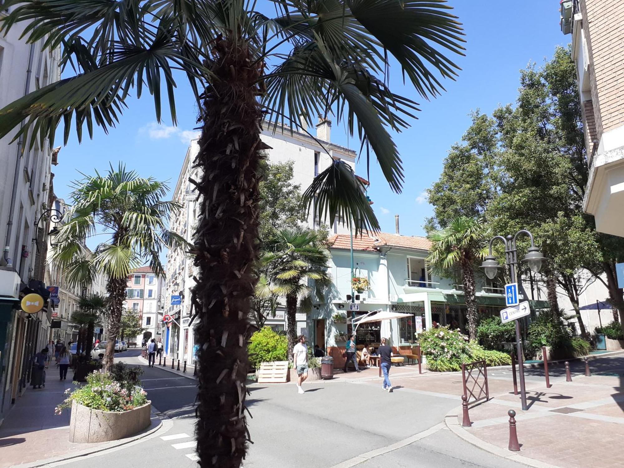 Maison Individuelle Avec Terrasse Nogent Sur Marne Exterior foto